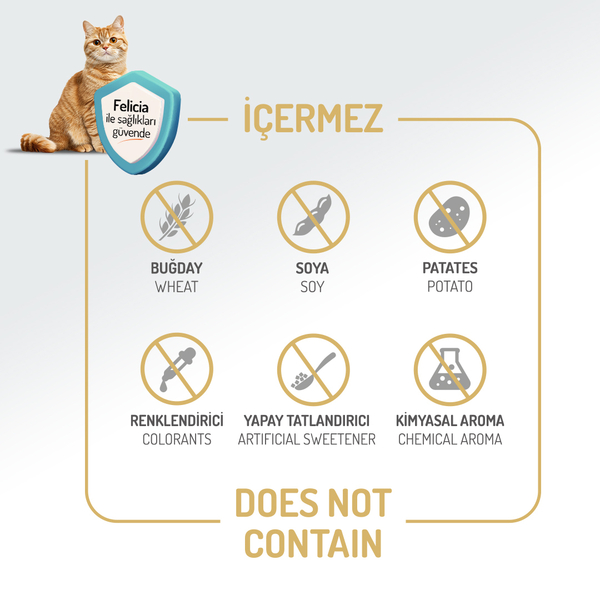 Felicia 2 Kg Kolajenli Kuzulu Az Tahıllı Yavru Kedi Maması HypoAllergenic Kedi Maması