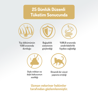 Felicia 2 Kg Kolajenli Kuzulu Az Tahıllı Yavru Kedi Maması HypoAllergenic Kedi Maması - Thumbnail