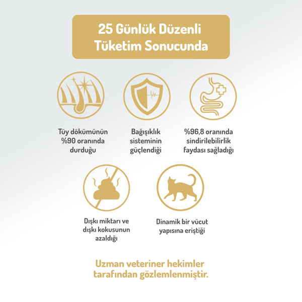 Felicia 2 Kg Kolajenli Kuzulu Az Tahıllı Yavru Kedi Maması HypoAllergenic Kedi Maması