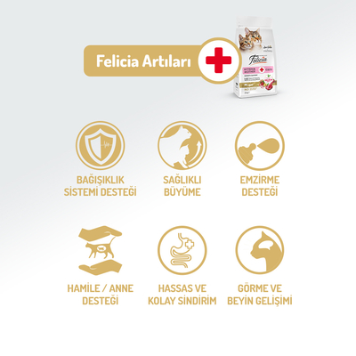 Felicia 2 Kg Kolajenli Kuzulu Az Tahıllı Yavru Kedi Maması HypoAllergenic Kedi Maması - Thumbnail