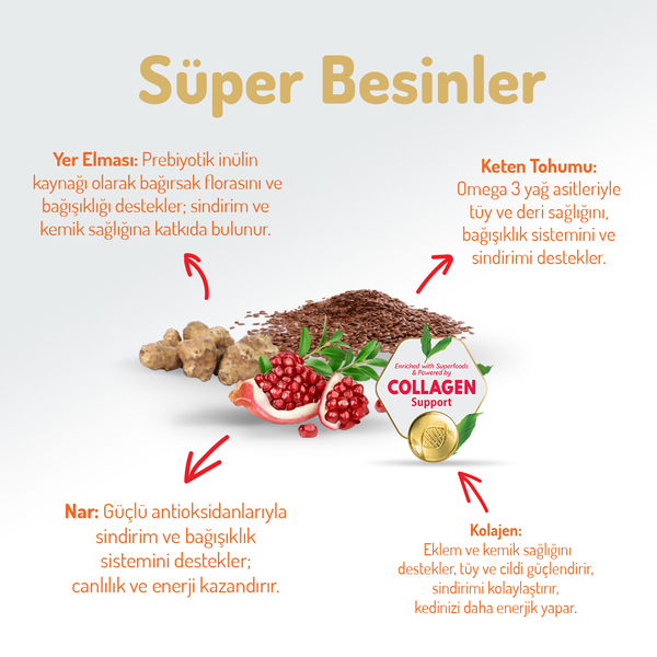 Felicia 2 Kg Kolajenli Kuzulu Az Tahıllı Yavru Kedi Maması HypoAllergenic Kedi Maması