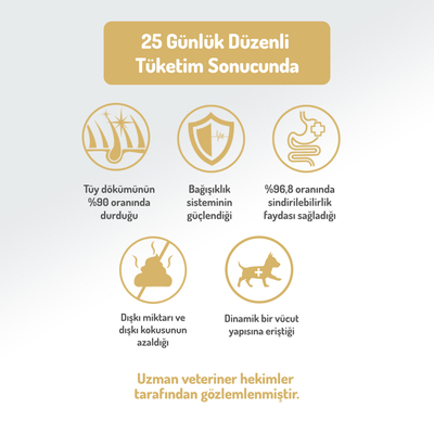 Felicia 3 Kg Kolajenli Somonlu Az Tahıllı Small/Mini Yetişkin Köpek Maması /Mini HypoAllergenic Köpek Maması - Thumbnail