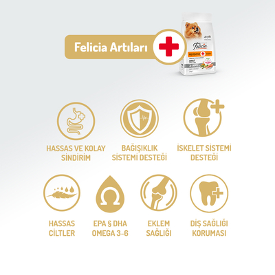 Felicia 3 Kg Kolajenli Somonlu Az Tahıllı Small/Mini Yetişkin Köpek Maması /Mini HypoAllergenic Köpek Maması - Thumbnail