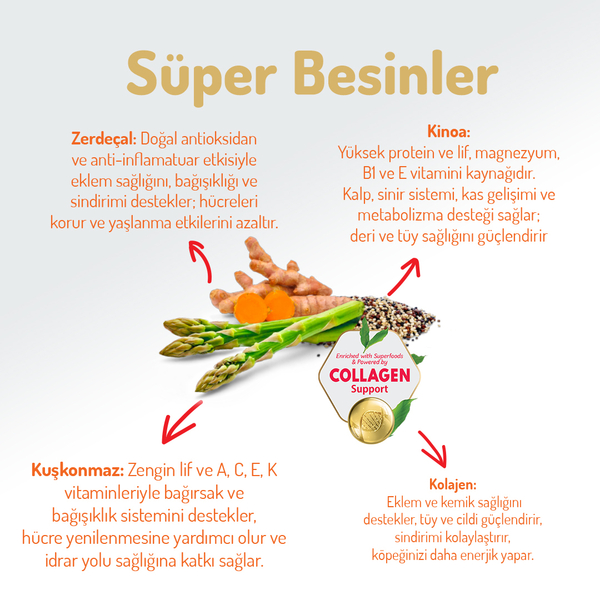 Felicia 3 Kg Kolajenli Somonlu Az Tahıllı Small/Mini Yetişkin Köpek Maması /Mini HypoAllergenic Köpek Maması