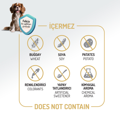 Felicia 3 Kg Kolajenli Somonlu Az Tahıllı Small/Mini Yetişkin Köpek Maması /Mini HypoAllergenic Köpek Maması - Thumbnail