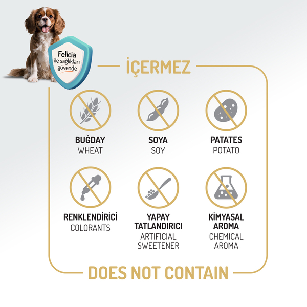 Felicia 3 Kg Kolajenli Somonlu Az Tahıllı Small/Mini Yetişkin Köpek Maması /Mini HypoAllergenic Köpek Maması