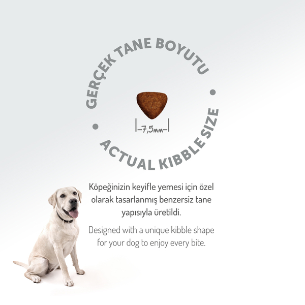 Felicia 6 Kg (2x3 Kg) Kolajenli Kuzulu Az Tahıllı Flexi Size Yavru Köpek Maması HypoAllergenic Köpek Maması - 7