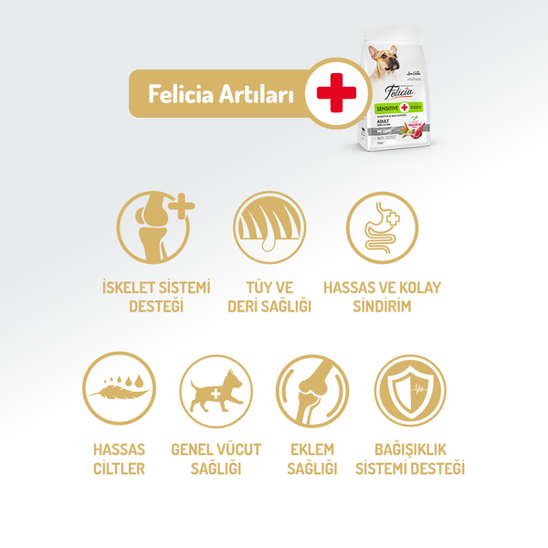 Felicia 6 Kg (2x3 Kg) Kolajenli Kuzulu Az Tahıllı Small/Mini Yetişkin Köpek Maması HypoAllergenic Köpek Maması - 2