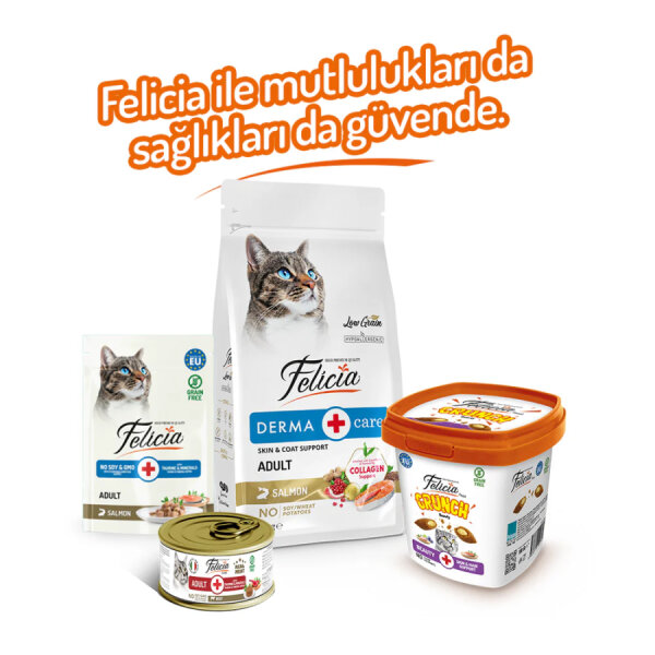 Felicia Beauty Kedi Crunch Ödül Maması 100g - 6 Adet - 4