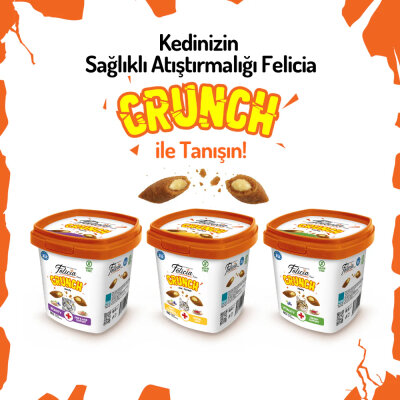 Felicia Beauty Kedi Crunch Ödül Maması 100g - 6 Adet - 3