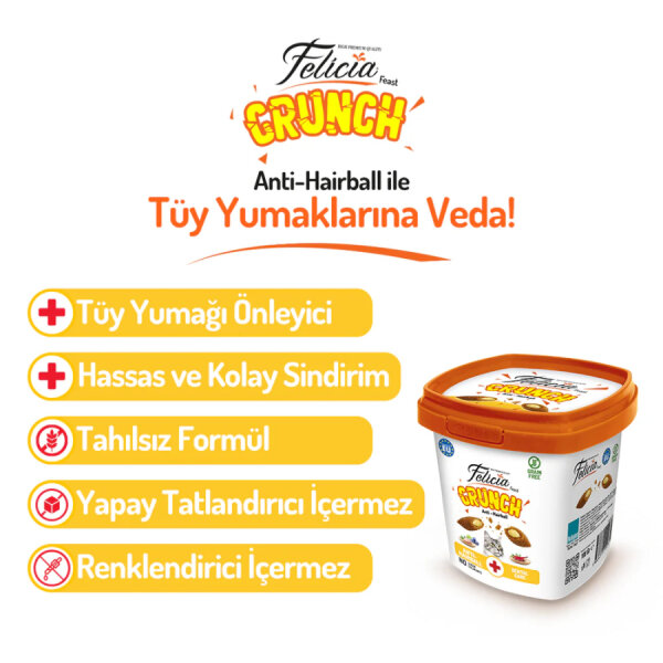 Felicia Hairball Kedi Crunch Ödül Maması 100g - 6 Adet - 3