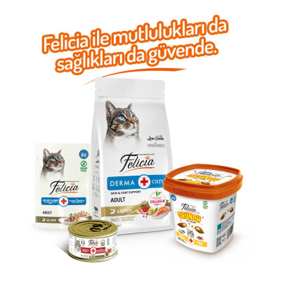 Felicia Hairball Kedi Crunch Ödül Maması 100g - 6 Adet - 4