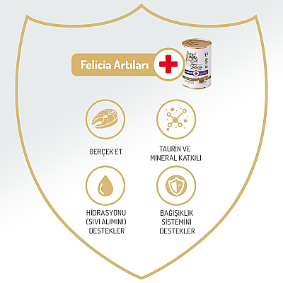 Felicia Kısır Tahılsız Somonlu Kedi Konserve 400g - 12 Adet - 4