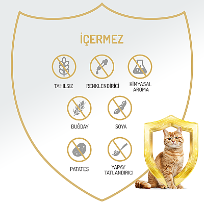 Felicia Kısır Tahılsız Somonlu Kedi Konserve 400g - 12 Adet - 5