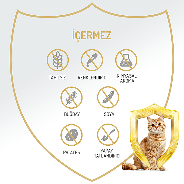 Felicia Kısır Tahılsız Somonlu Kedi Konserve 400g - 12 Adet - 5