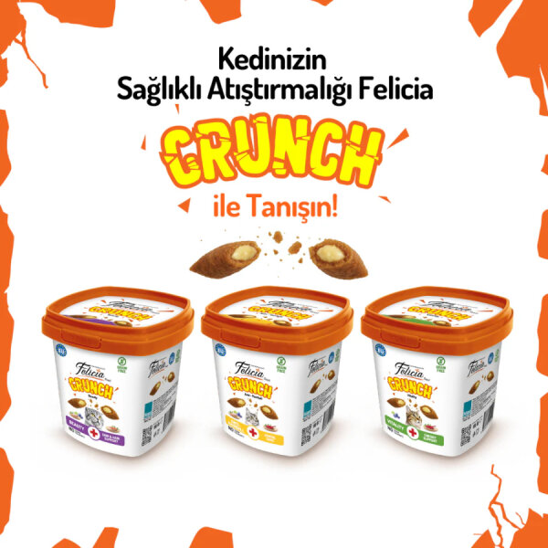 Felicia Vitality Kedi Crunch Ödül Maması 100g - 6 Adet - 3