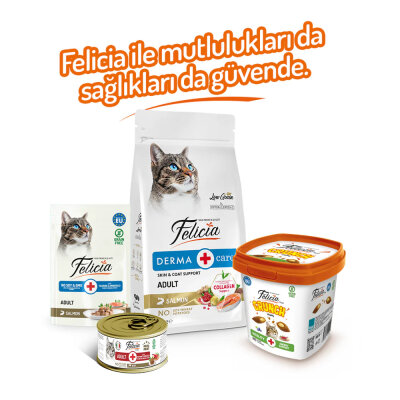 Felicia Vitality Kedi Crunch Ödül Maması 100g - 6 Adet - 4