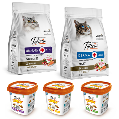 Felicia Yeni Yıl Avantajlı 5 Kg Kedi Maması ve Crunch Seti - Felicia