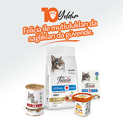 Felicia Yetişkin Tahılsız Biftekli Kedi Konserve 400g - 12 Adet - 6