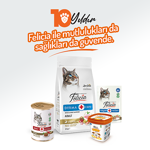 Felicia Yetişkin Tahılsız Biftekli Kedi Konserve 400g - 12 Adet - 6