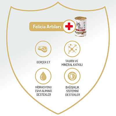 Felicia Yetişkin Tahılsız Biftekli Kedi Konserve 400g - 12 Adet - 5