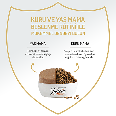 Felicia Yetişkin Tahılsız Biftekli Kedi Konserve 400g - 12 Adet - 3