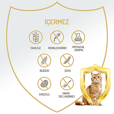 Felicia Yetişkin Tahılsız Biftekli Kedi Konserve 400g - 12 Adet - 4