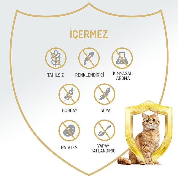Felicia Yetişkin Tahılsız Biftekli Kedi Konserve 400g - 12 Adet - 4