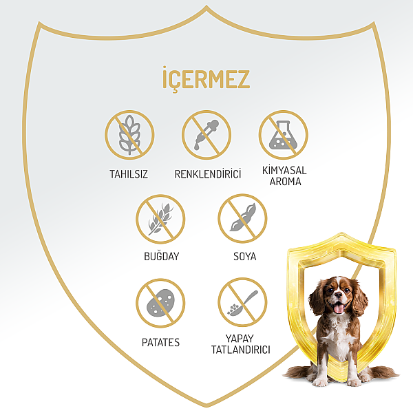 Felicia Yetişkin Tahılsız Biftekli Köpek Konserve 400g - 12 Adet - 4