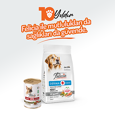 Felicia Yetişkin Tahılsız Biftekli Köpek Konserve 400g - 12 Adet - 6