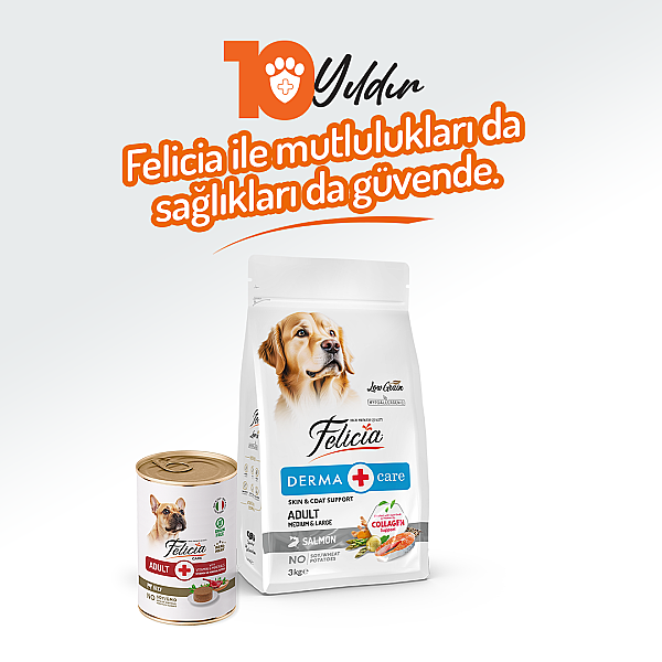 Felicia Yetişkin Tahılsız Biftekli Köpek Konserve 400g - 12 Adet - 6