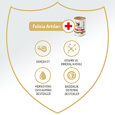 Felicia Yetişkin Tahılsız Biftekli Köpek Konserve 400g - 12 Adet - 5