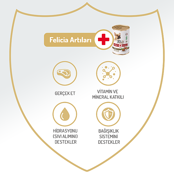Felicia Yetişkin Tahılsız Biftekli Köpek Konserve 400g - 12 Adet - 5
