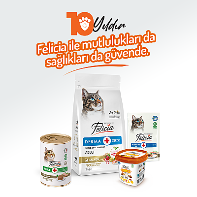 Felicia Yetişkin Tahılsız Tavuklu Kedi Konserve 400g - 12 Adet - 6