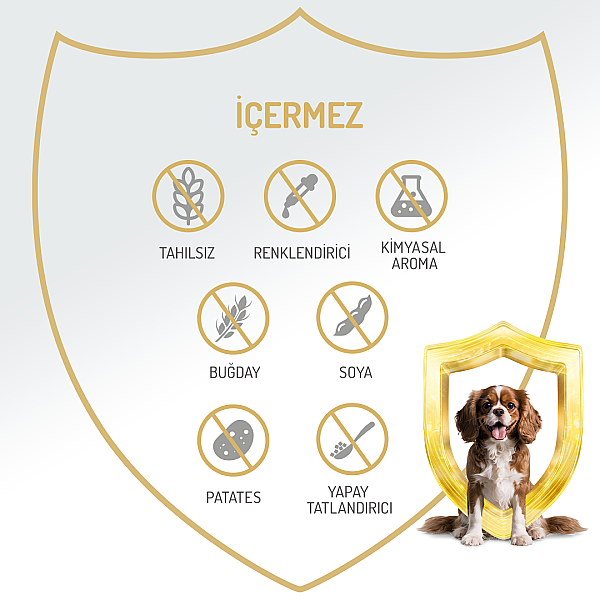 Felicia Yetişkin Tahılsız Tavuklu Köpek Konserve 400g - 12 Adet - 4
