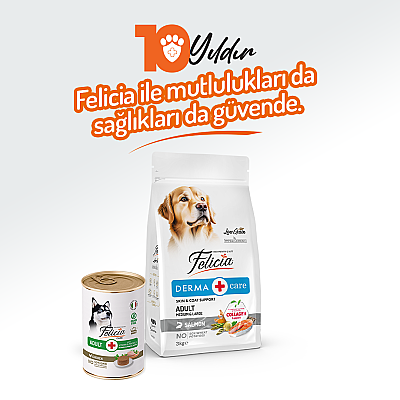 Felicia Yetişkin Tahılsız Tavuklu Köpek Konserve 400g - 12 Adet - 6