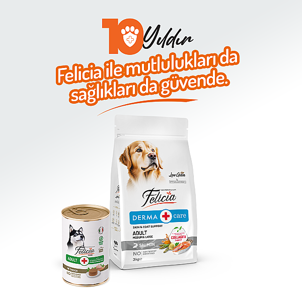 Felicia Yetişkin Tahılsız Tavuklu Köpek Konserve 400g - 12 Adet - 6