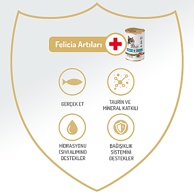 Felicia Yetişkin Tahılsız Ton Balıklı Kedi Konserve 400g - 12 Adet - 5
