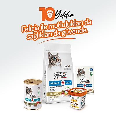 Felicia Yetişkin Tahılsız Ton Balıklı Kedi Konserve 400g - 12 Adet - 6