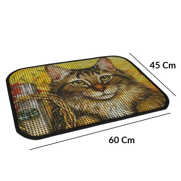 Resimli Lux Kedi Kumu Toplama Paspası 60*45 cm