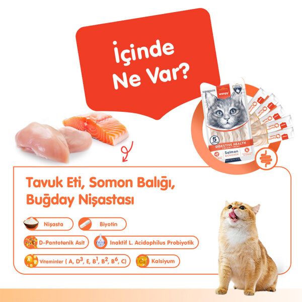 Wanpy Digestive Health Somon Balığı&Tavuk 12'li-F.Krema Ödül 5x14gr - 2