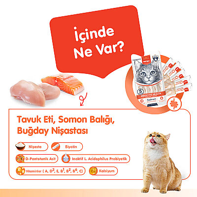 Wanpy Digestive Health Somon Balığı&Tavuk 12'li-F.Krema Ödül 5x14gr - 2