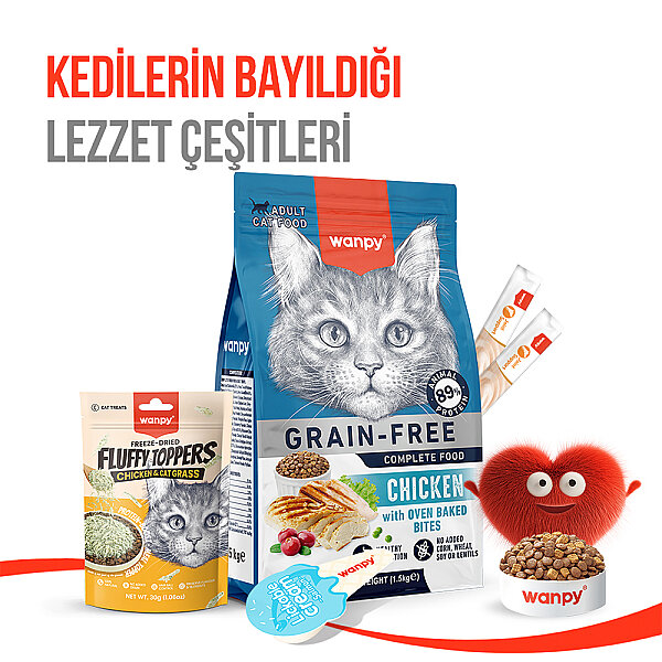 Wanpy Dondurularak Kurutulmuş Fluffy Toppers – Tavuk & Kedi Otu - 30g - 11