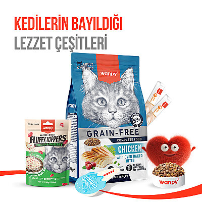 Wanpy Dondurularak Kurutulmuş Fluffy Toppers - Tavuk & Kızılcık - 30g - 11