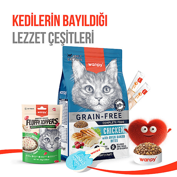 Wanpy Dondurularak Kurutulmuş Fluffy Toppers - Tavuk & Kızılcık - 30g - 11