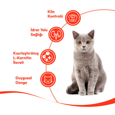 Wanpy Hindi & Kızılcıklı 12’li – Kısırlaştırılmış Kedi Krema Ödülü 5×14 g - 4