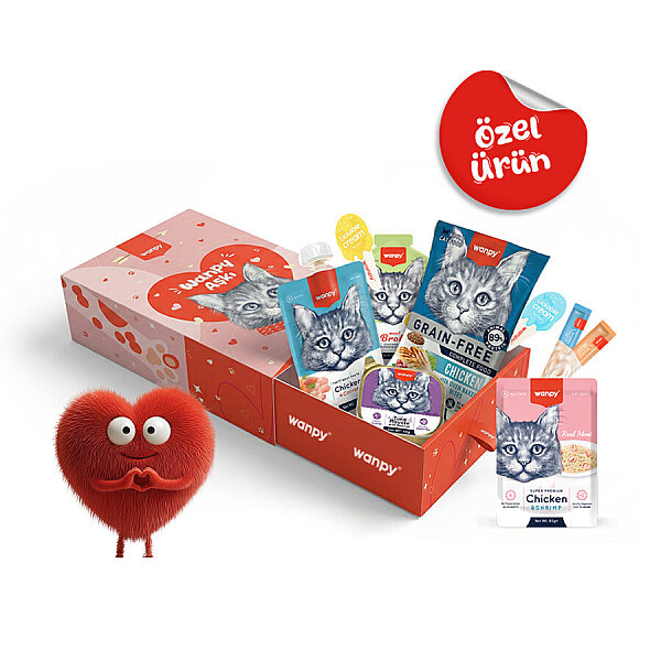 Wanpy Kalp Temalı Kutu Seti Kedi_1 Kutu - 1