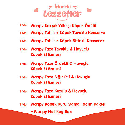 Wanpy Kalp Temalı Kutu Seti Köpek_1 Kutu - 3