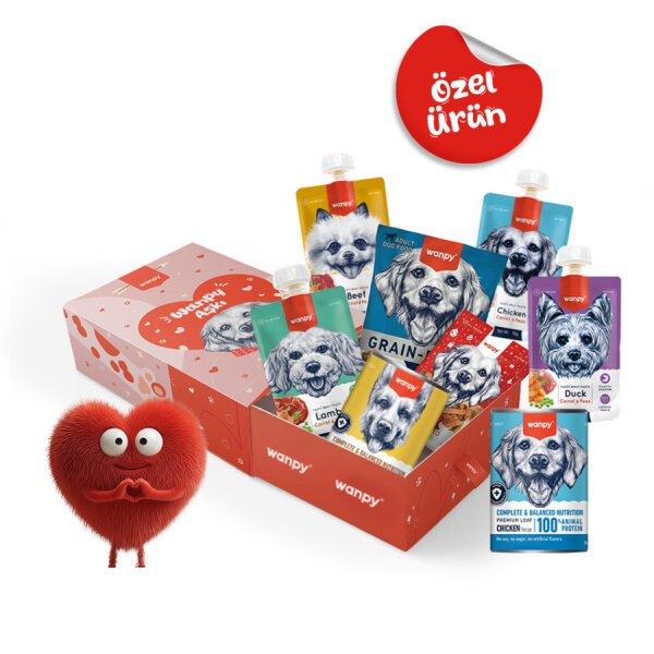 Wanpy Kalp Temalı Kutu Seti Köpek_6'lı Koli - 1