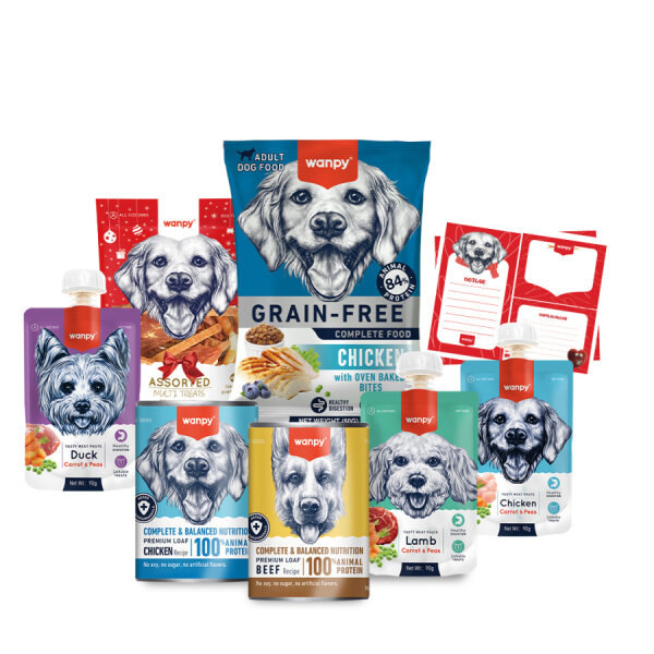 Wanpy Kalp Temalı Kutu Seti Köpek_6'lı Koli - 2